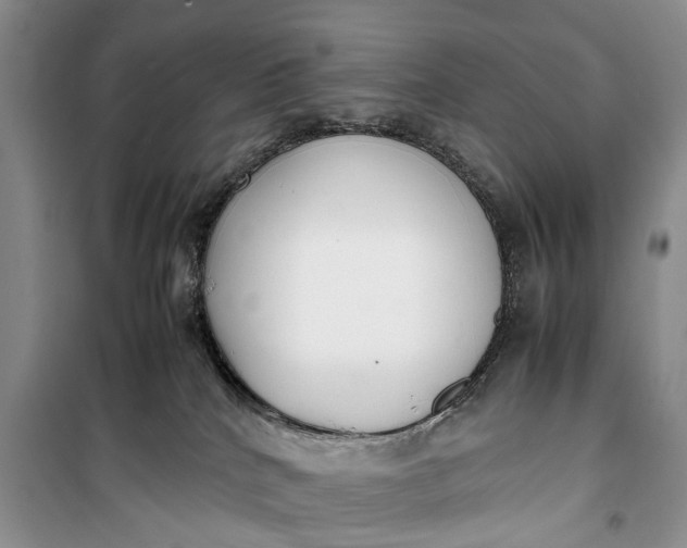 X0000100220040200806131324