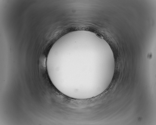 X0000100220041200806131324