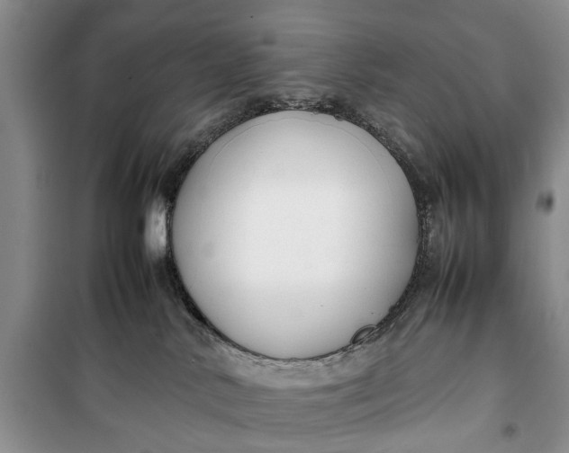 X0000100220042200806131324