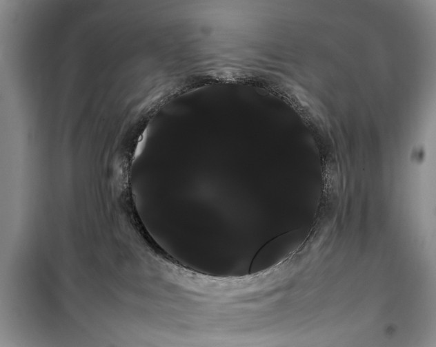 X0000100220043200806131324