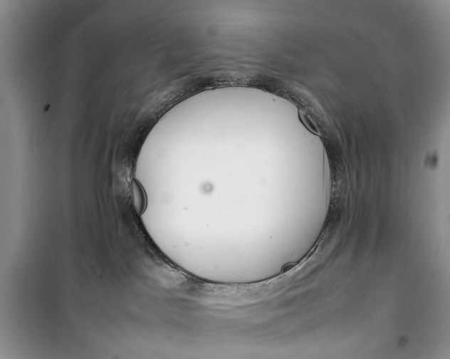 X0000100220045200806131324