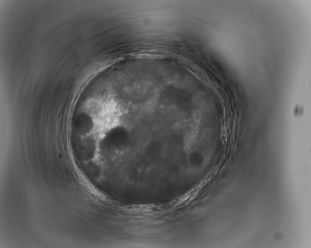 X0000100220049200806131323