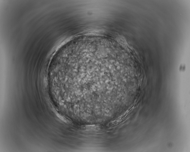 X0000100220050200806131323