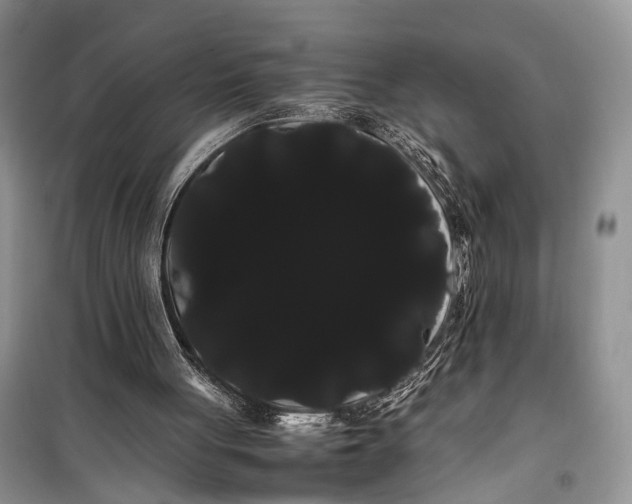 X0000100220051200806131323