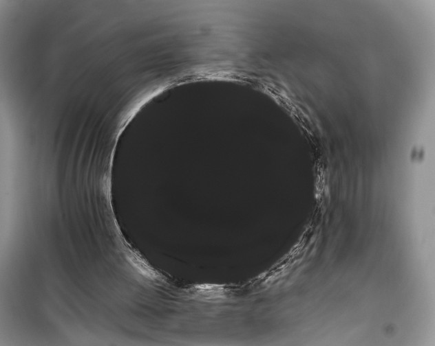 X0000100220052200806131323