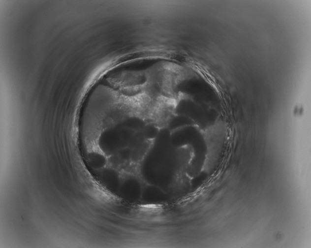 X0000100220053200806131323