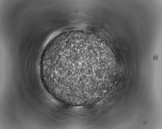 X0000100220054200806131323