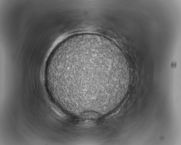 X0000100220056200806131323