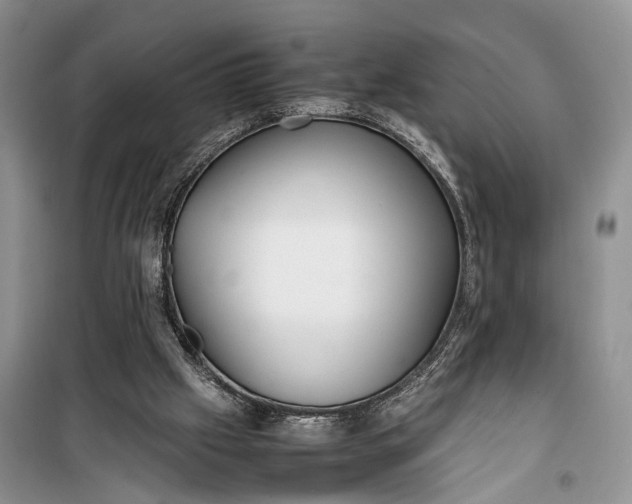 X0000100220057200806131323