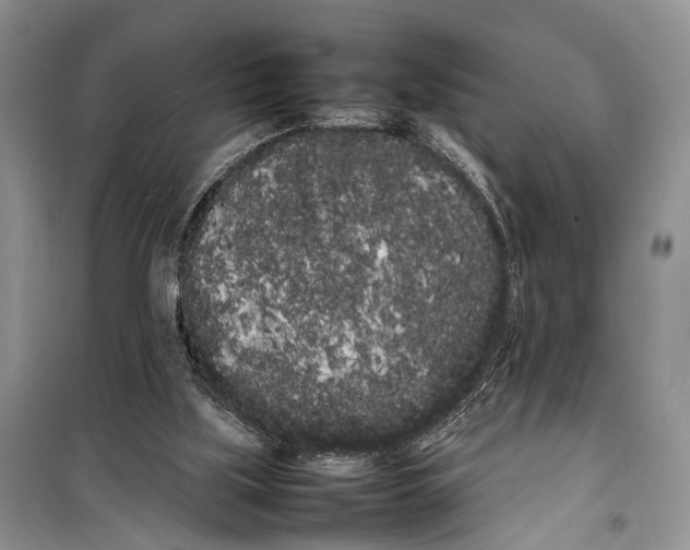 X0000100220059200806131323