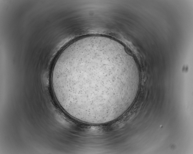 X0000100220060200806131323