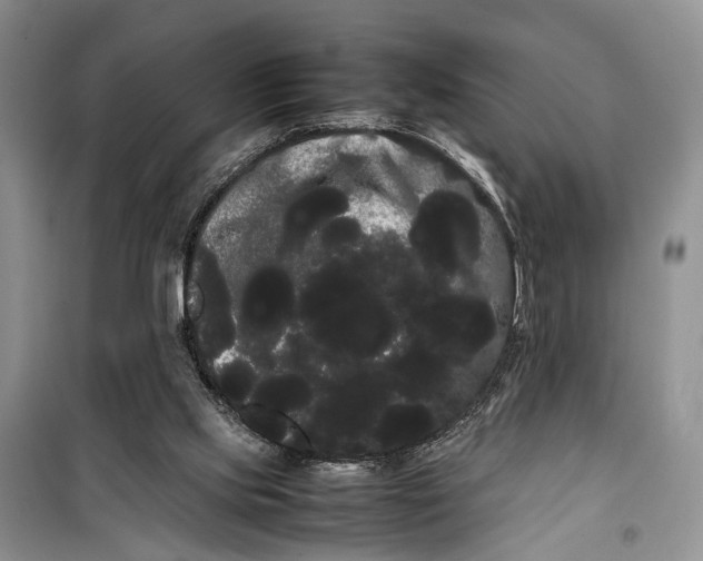 X0000100220061200806131323