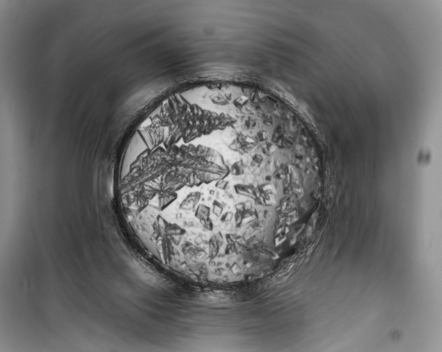 X0000100220062200806131323