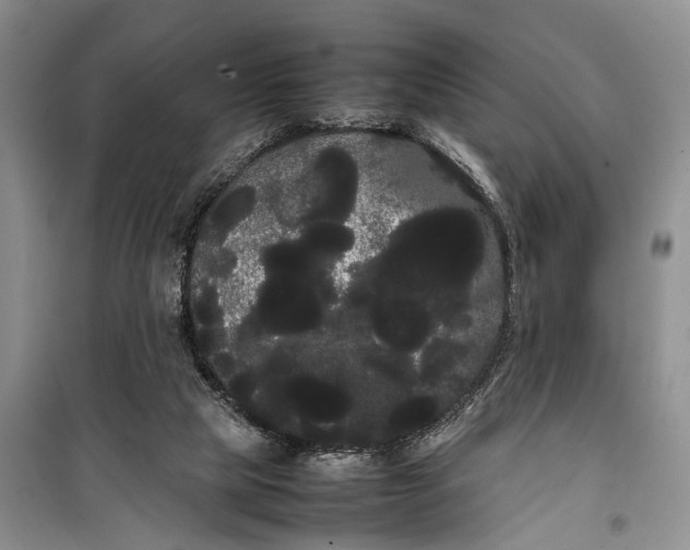 X0000100220065200806131323