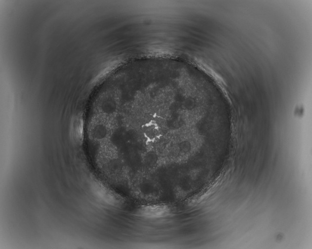 X0000100220067200806131323