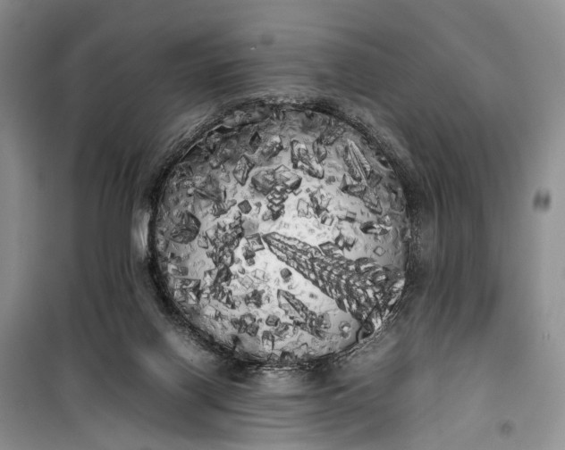 X0000100220070200806131323