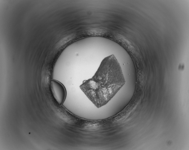 X0000100220071200806131323