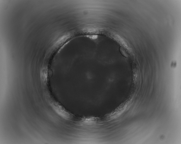 X0000100220072200806131323