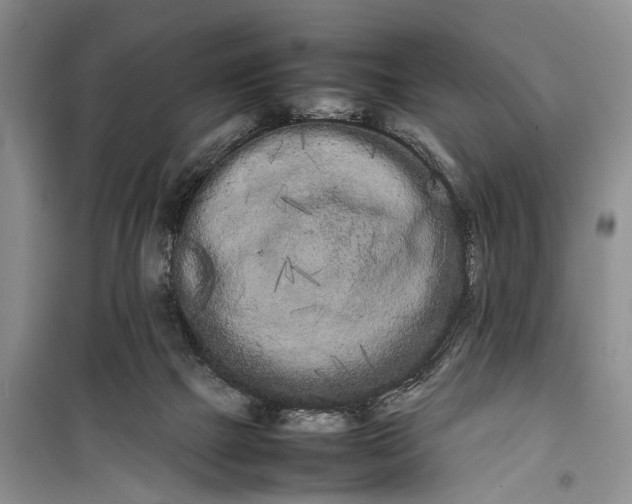 X0000100220073200806131323