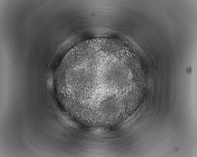 X0000100220074200806131323