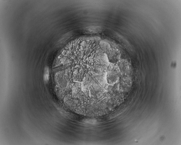 X0000100220075200806131323