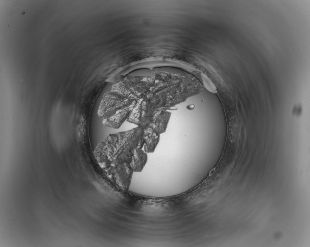 X0000100220077200806131323