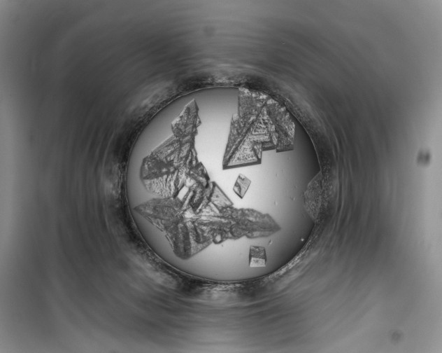 X0000100220078200806131323