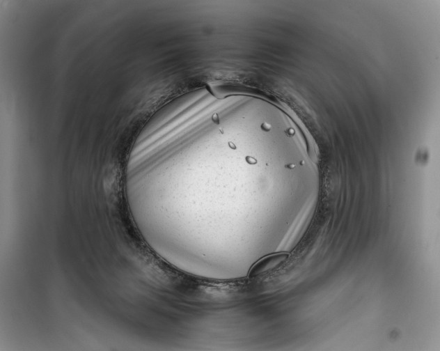 X0000100220079200806131323