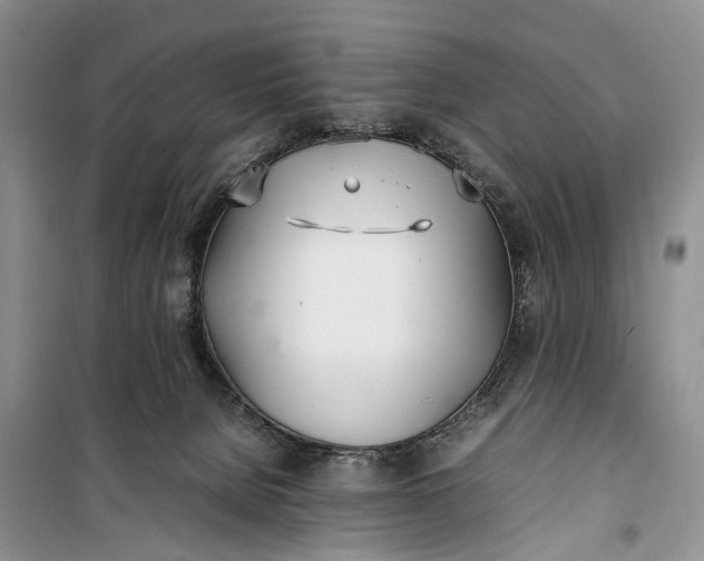 X0000100220080200806131323