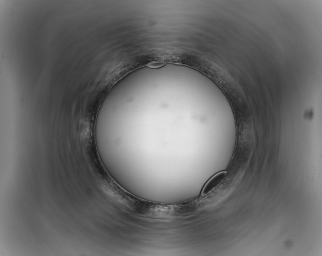 X0000100220084200806131323