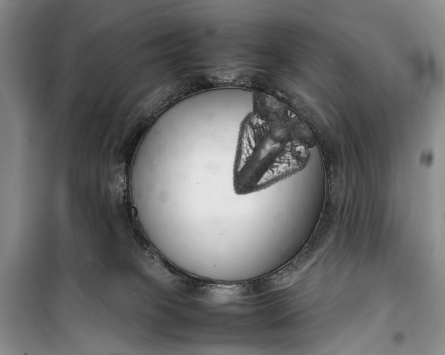 X0000100220085200806131323