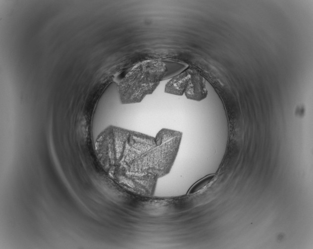 X0000100220086200806131323