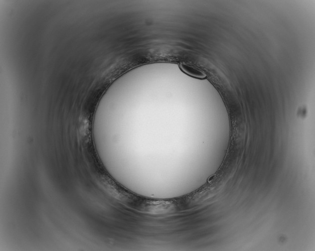 X0000100220087200806131323