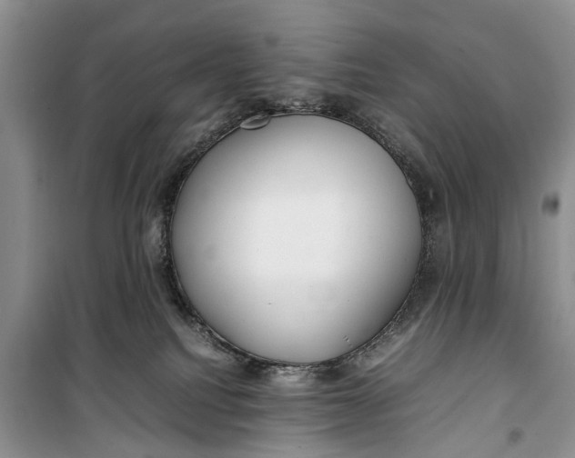 X0000100220088200806131323