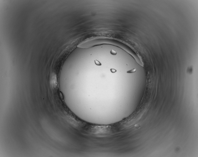 X0000100220089200806131323