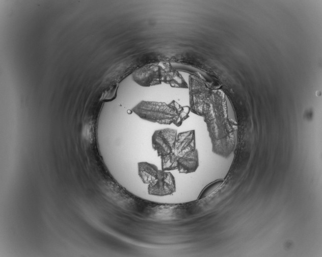 X0000100220090200806131323