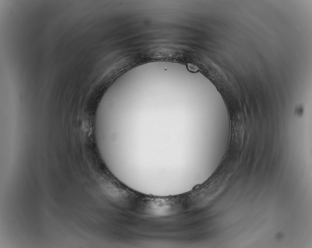 X0000100220091200806131324