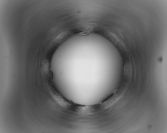 X0000100220092200806131324