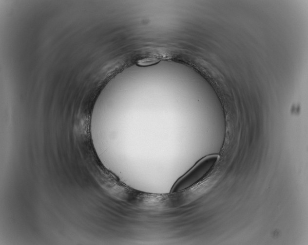 X0000100220096200806131324