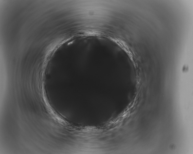 X0000100220097200806131323