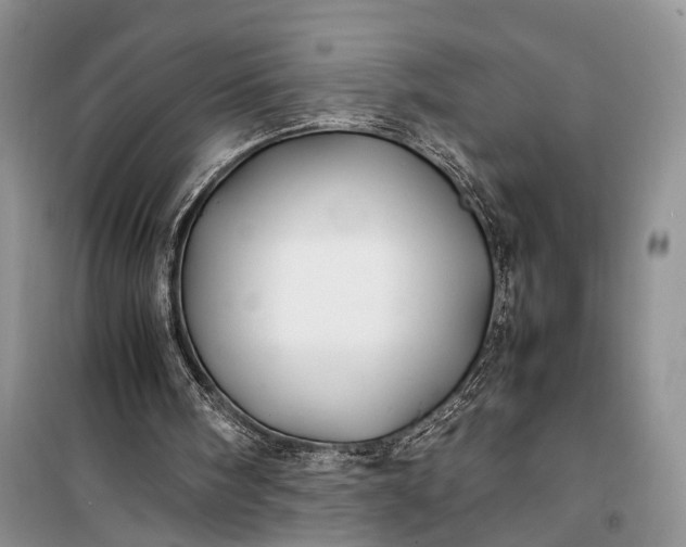 X0000100220098200806131323