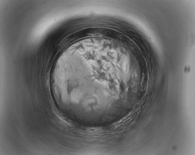 X0000100220099200806131323