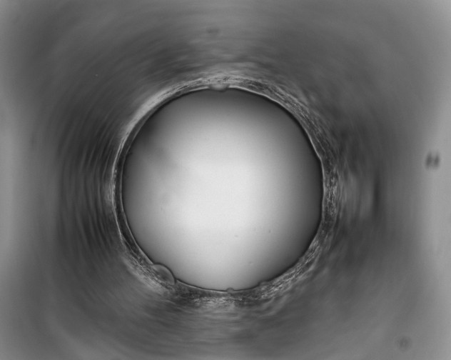 X0000100220100200806131323