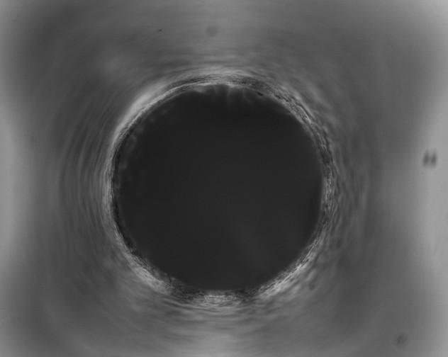 X0000100220101200806131323