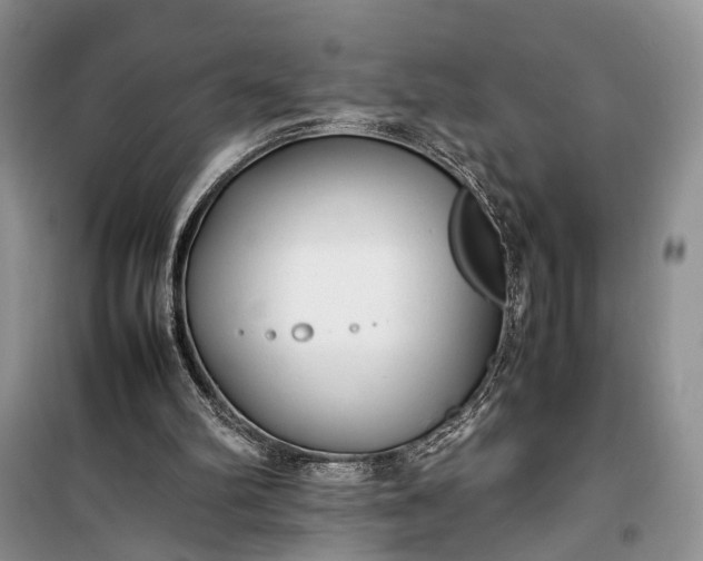 X0000100220102200806131323