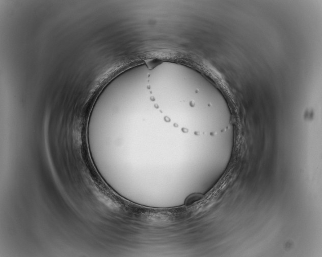 X0000100220106200806131323