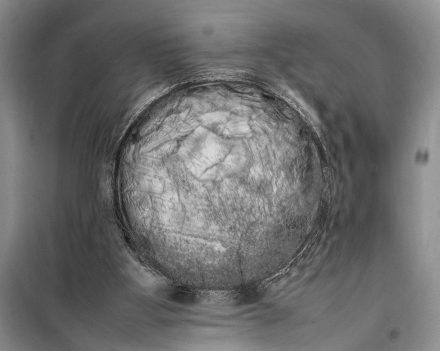 X0000100220107200806131323