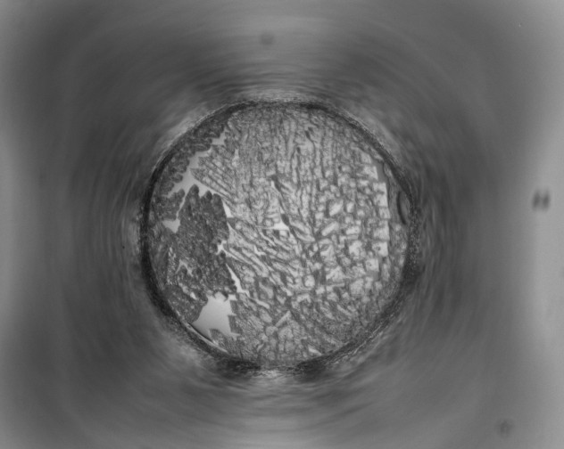 X0000100220111200806131323