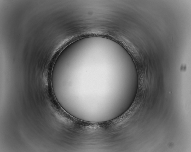 X0000100220112200806131323