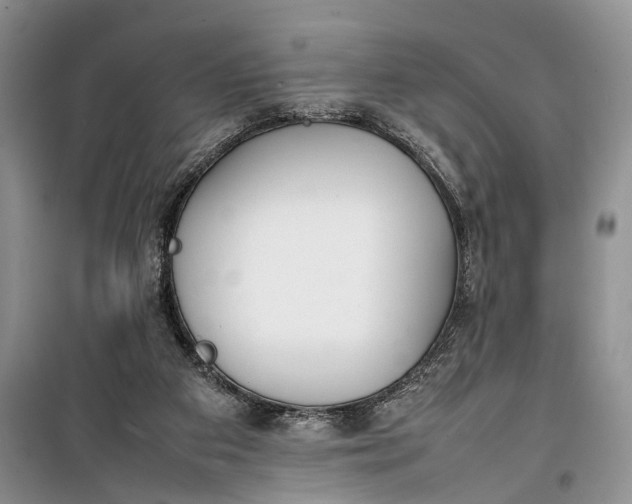 X0000100220113200806131323